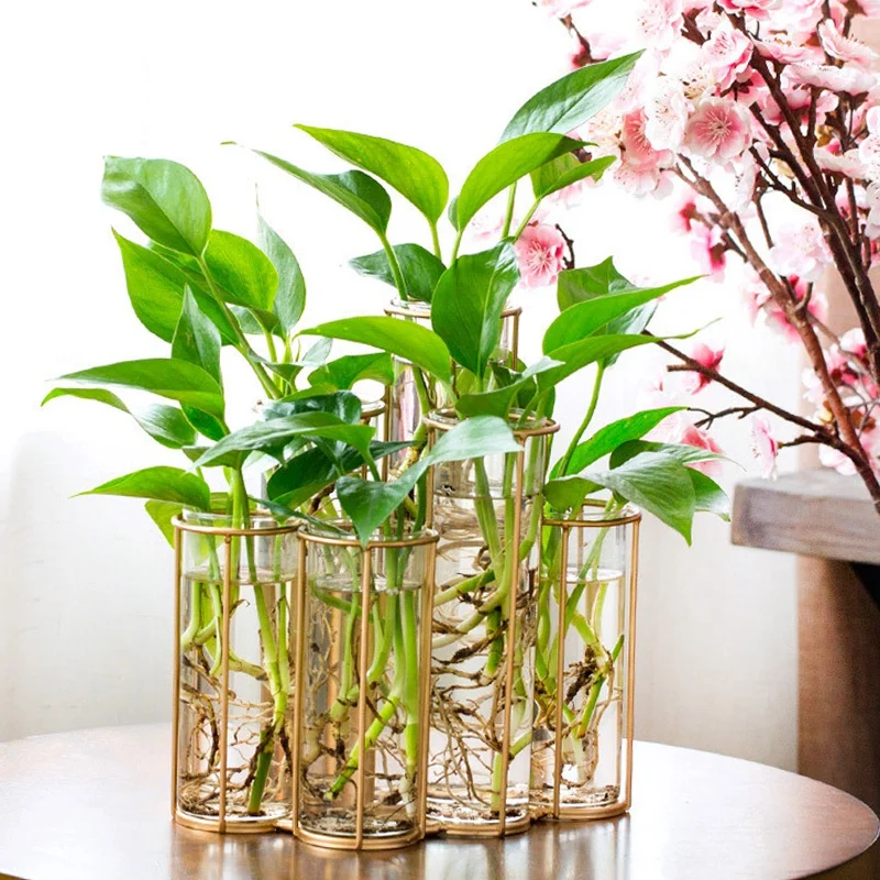 

Modern Tube Shape Glass Vase Bottle For Flower Plant DIY Home Decoration Terrarium Hydroponic Green Plant Container Glass Vase