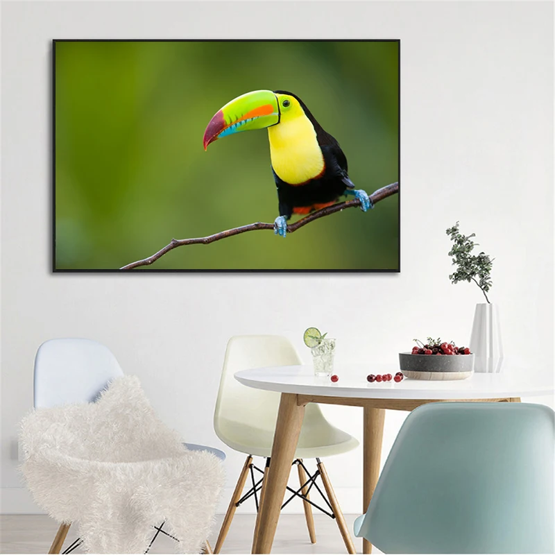 Холщовый постер Toucan с изображением птиц из тропических лесов животные Настенная