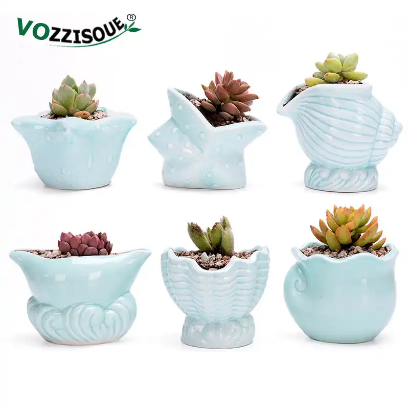 Cute Succulent Planter Small Pot Ocean Ceramic Flower Pots Garden Decorative Desk Plant Pots Starfish Flowerpot For Cactuses Aliexpress
