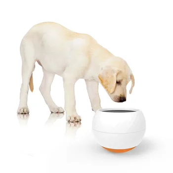 

Cat Bowl Dog BowlAnti-overturningand Anti-spatter Protection Cervical Spine Cat BowlObliqueMouthPetSwingBowlTumblerDesignCatBowl