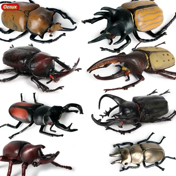

Oenux 8PCS Genuine Wild Insects Simulation Beetle Coleoptera Dynastes Animals Model Action Figures Educational Toy For Kids Gift