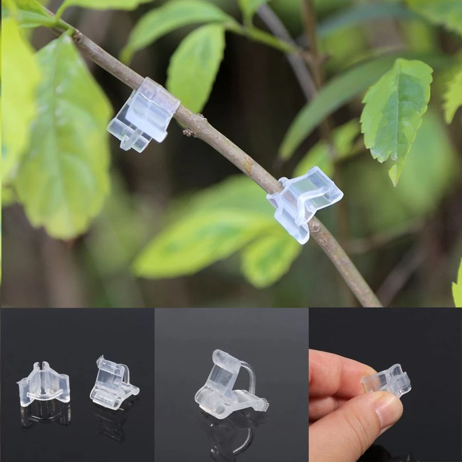 100pcs Plant Grafting Clip Plant Clips Supports Connects Reusable Protection Grafting Fixing Gardening Tool for Vegetable Tomato