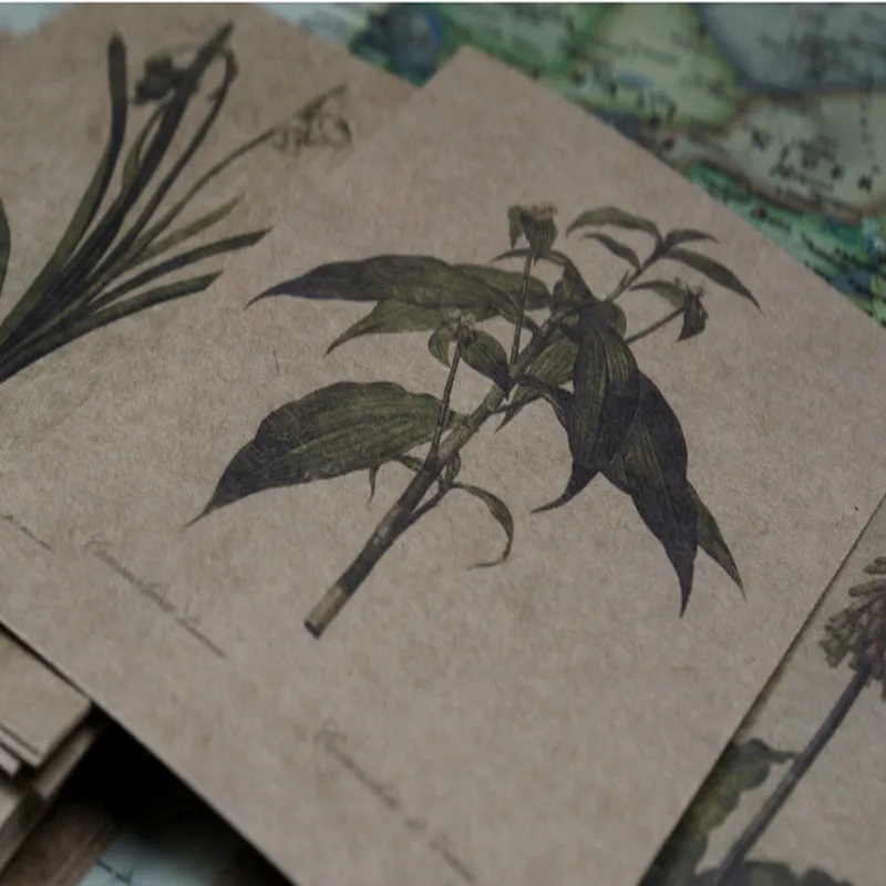 30 hojas/Paquete de flores pintadas a mano para jardín, estilo Vintage de piel de vaca, Sistema de Plantas, Postales