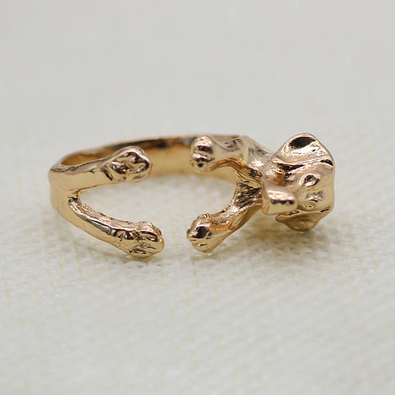 HTB11yNGXyzxK1RkSnaVq6xn9VXax