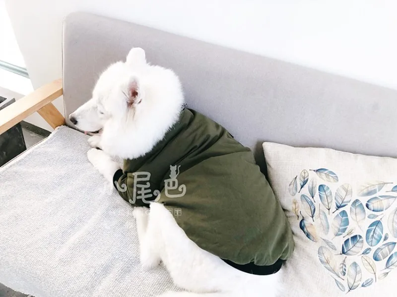 big dog clothes jacket (7)