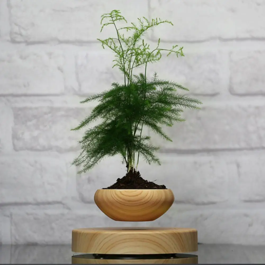 Magnetic Levitating Potted Plant Air Bonsai Pot Levitation Plants Planter Flower Pots Succulent Plant For Home Office Decor