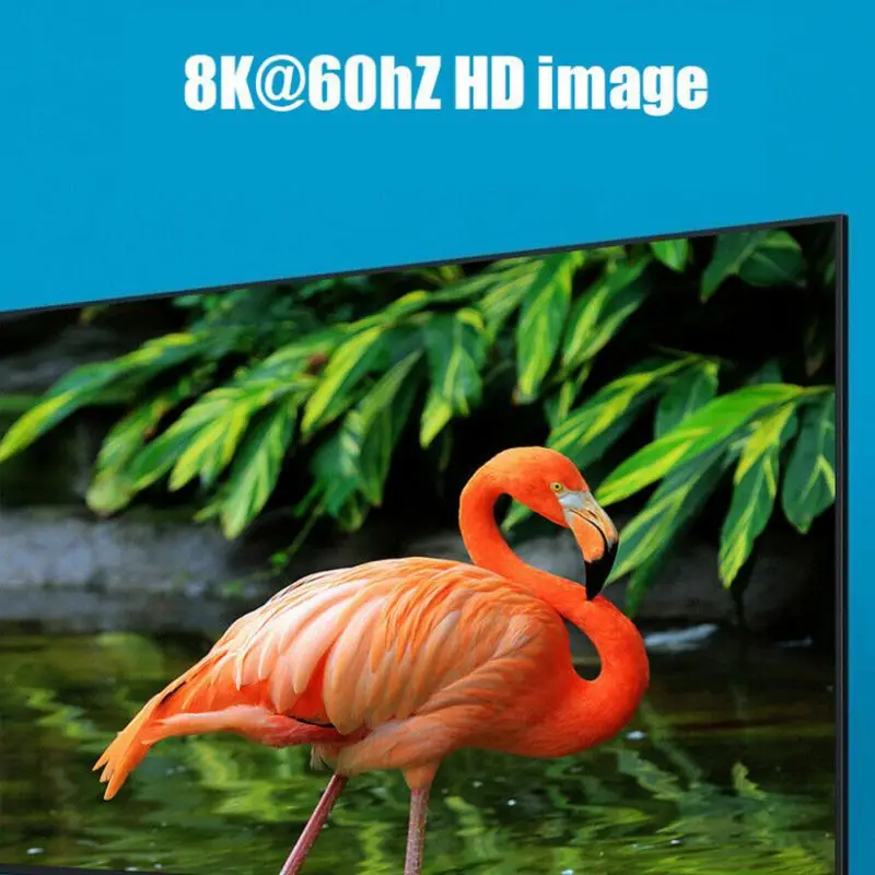 KZ1667 (8)