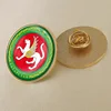 Coat of arms of Tatarstan Flag Lapel Pins/Broochs/Badges ► Photo 3/5
