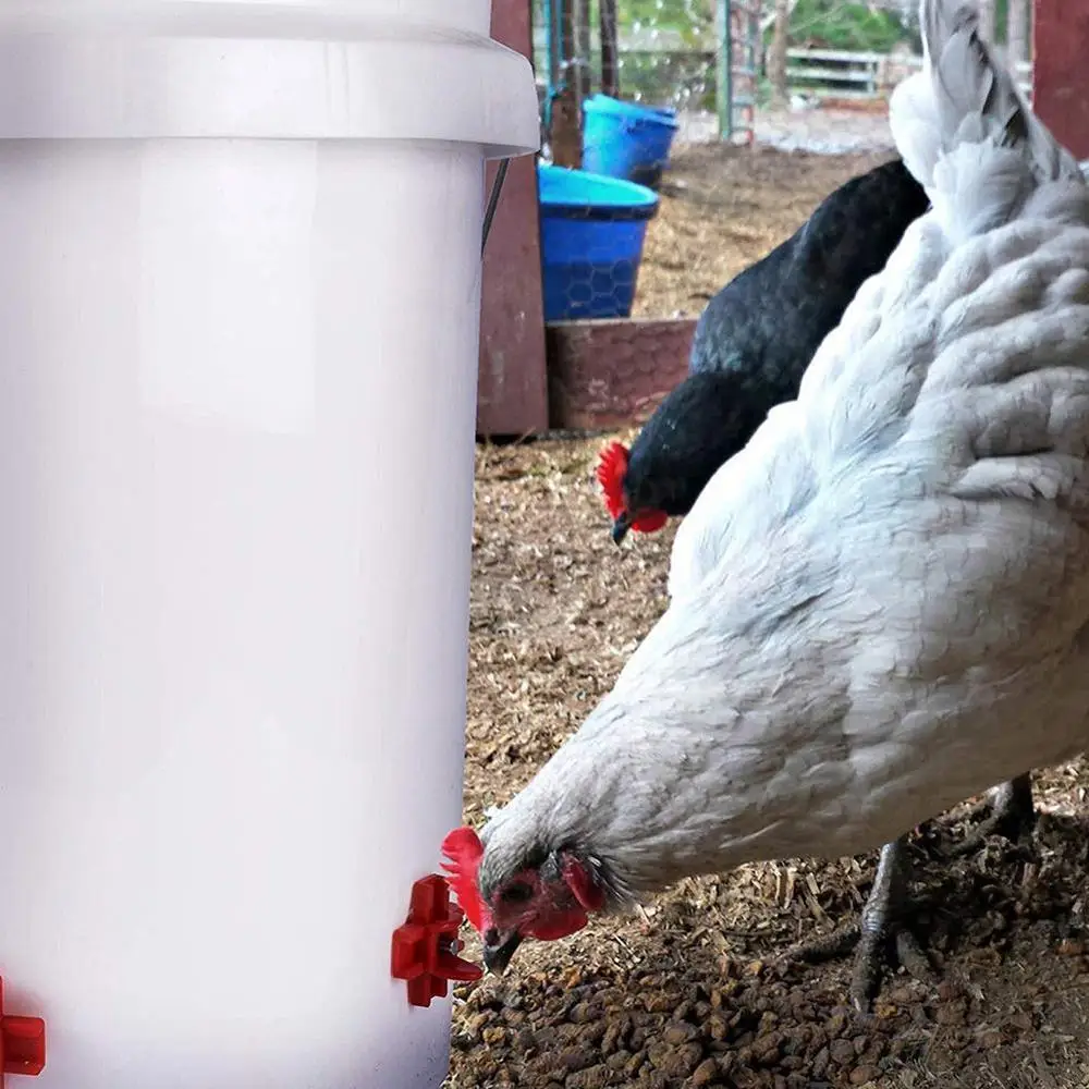 10PCS Chicken Waterer Hens Quail Birds Drinking Bowls Water for Chicken Coop Chick Nipple Drinkers Poultry Farm Animal Supplies