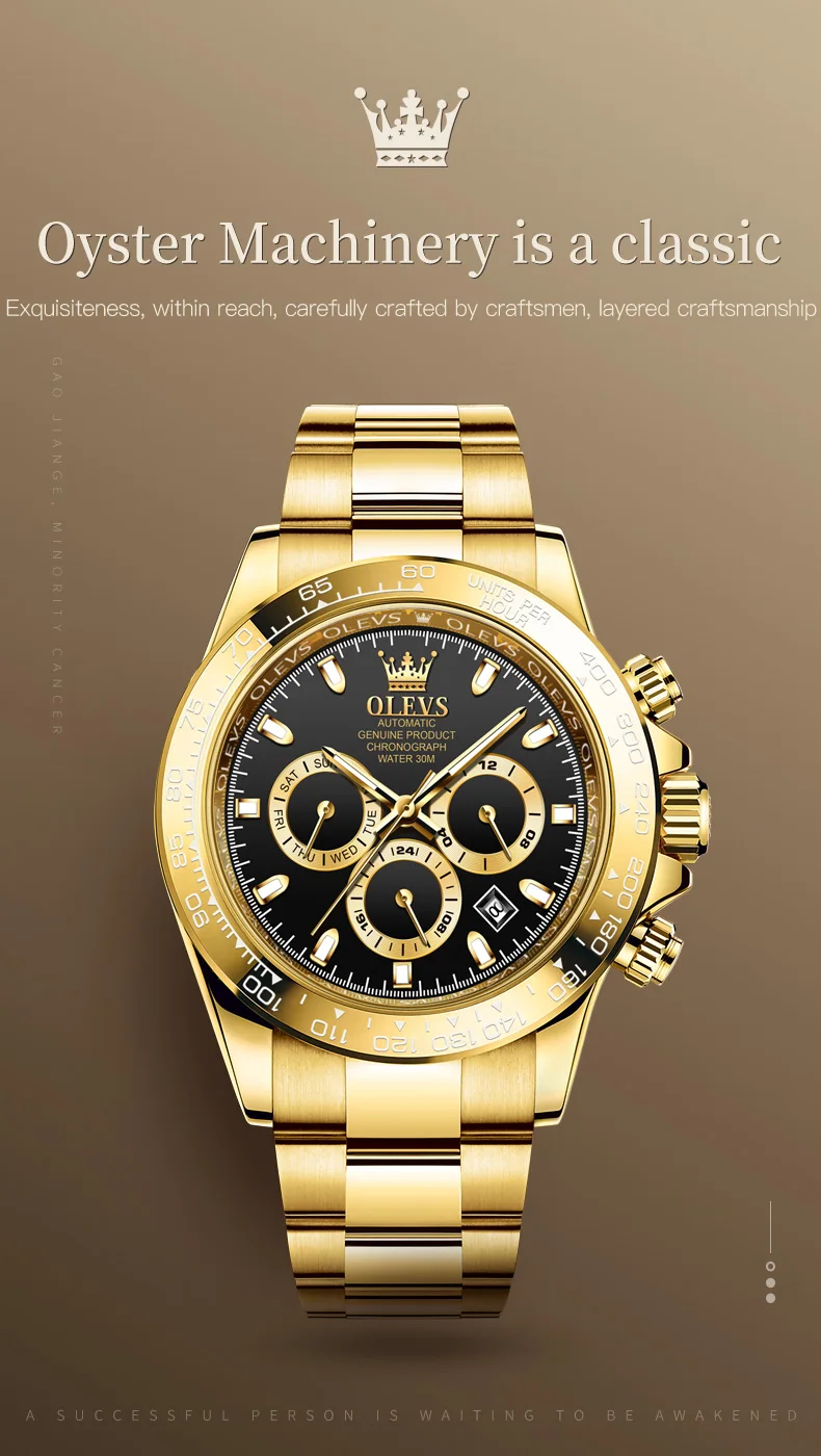 OLEVS 6638 Men’s Automatic Mechanical Watch description image 3