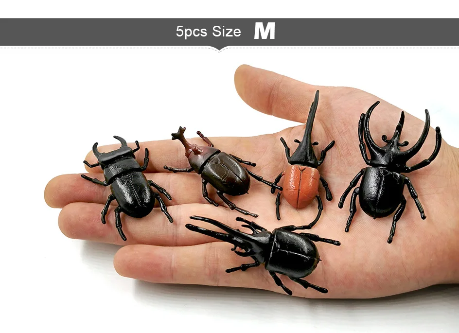 详情页-4款-昆虫甲虫等_05