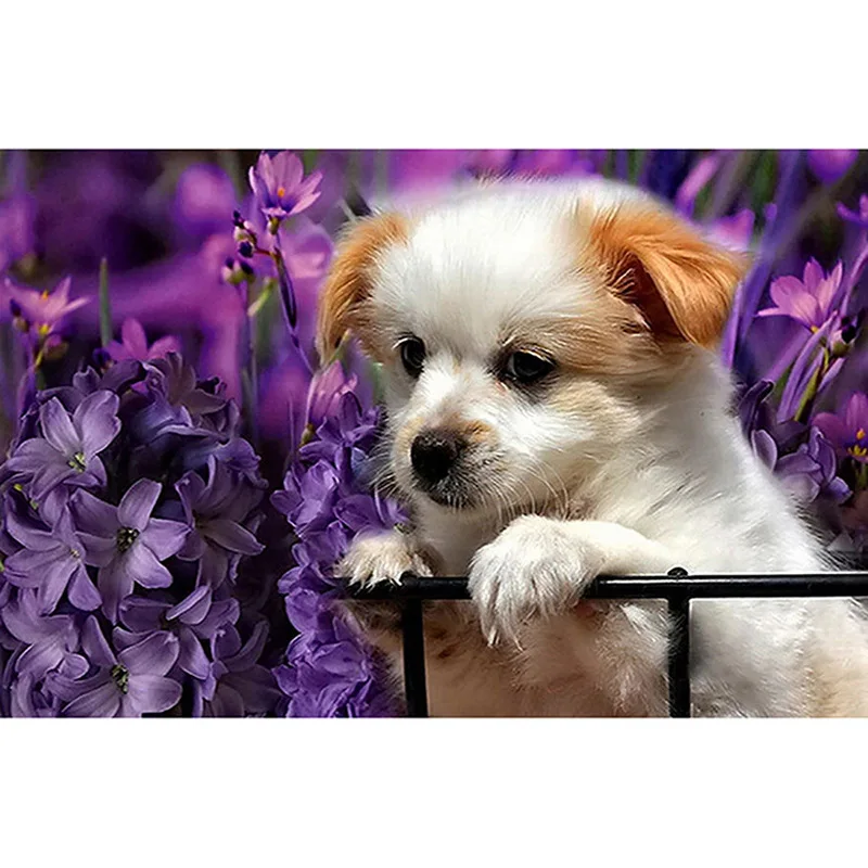 

GATYZTORY Diamond Painting Full Square Dog 5D Diy Diamond Embroidery Picture Mosaic Rhinestone Handmade Gift Home Decor