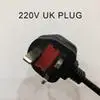 UK Plug