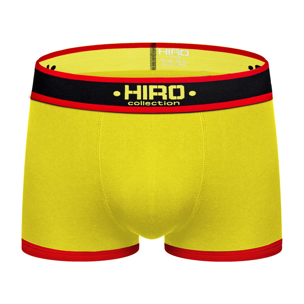

HIRO Sexy Men Underwear Mesh Boxer Cueca Male Panties Breathable Soft Cotton Underpants Lingerie For Men High Quality