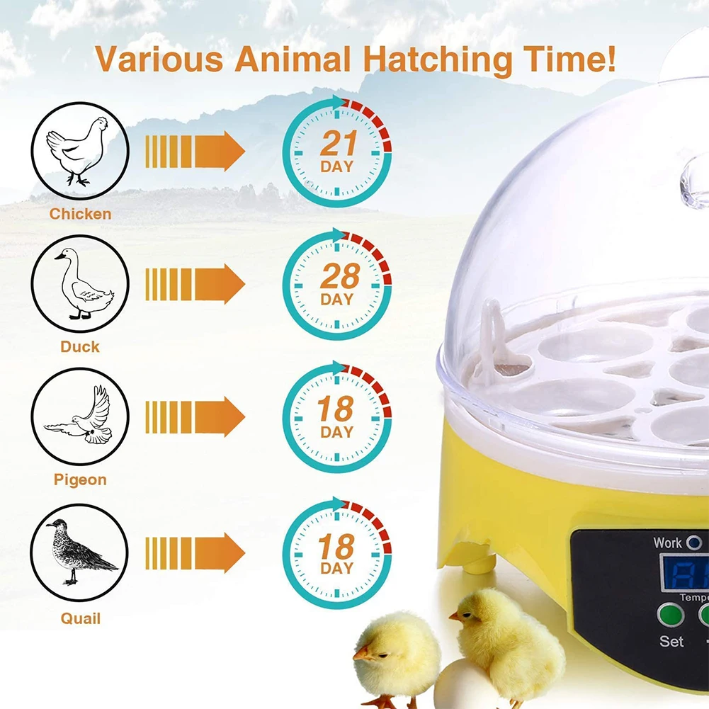 Mini Digital Hatching 7 Eggs Incubator Chicken Duck Incubator Egg Hatcher 