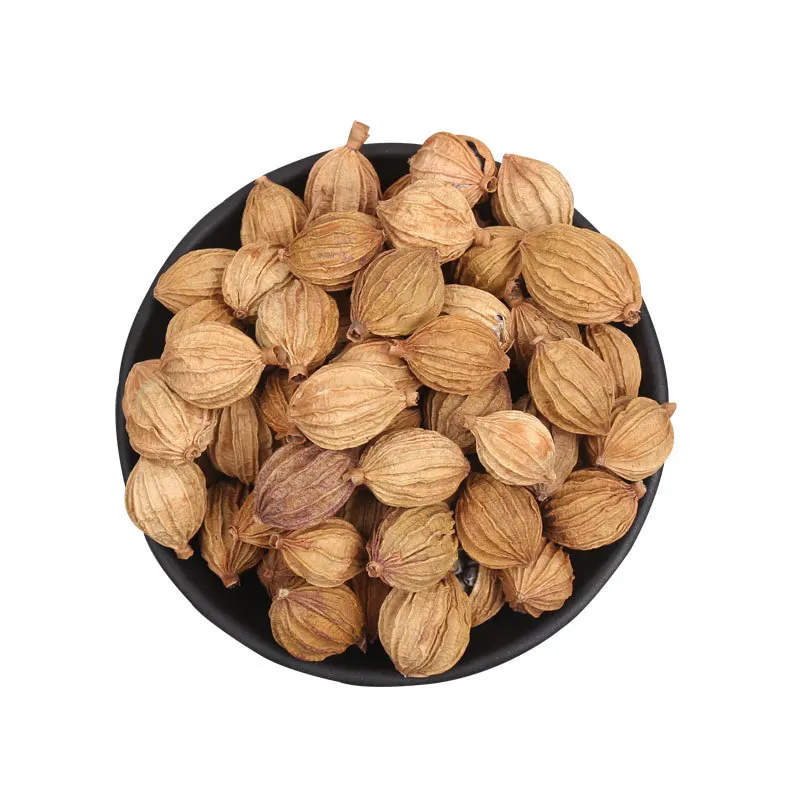 Areia perfumada, areia perfumada, xiang sha, frutos amomum cockleburlike, fructus amomi