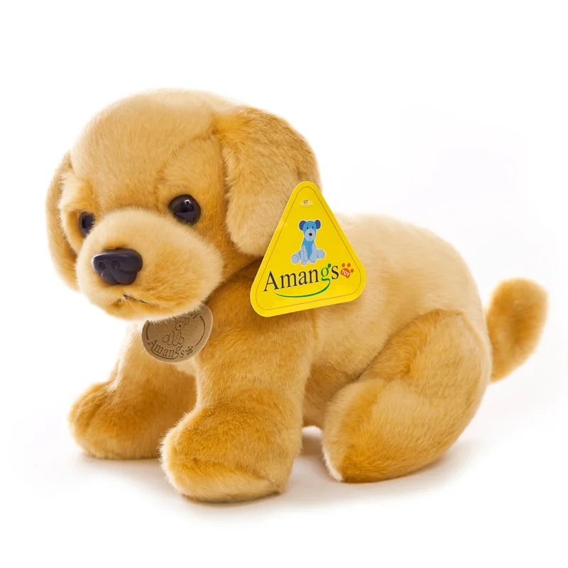 11576419519_1550818352