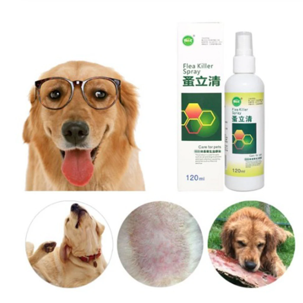 120ml Flea Killer Spray Flea Treatment for Dogs Puppy Cats Kitten