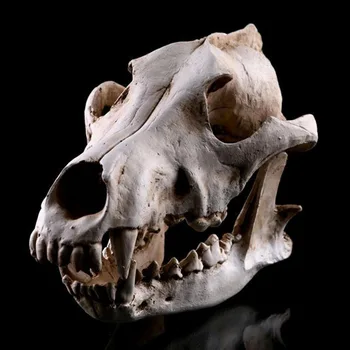 

Handicrafts Others Garden Props Process Resin Craft Home Decor Skullmodel Wolf Movie Decoration Model Collection Skull
