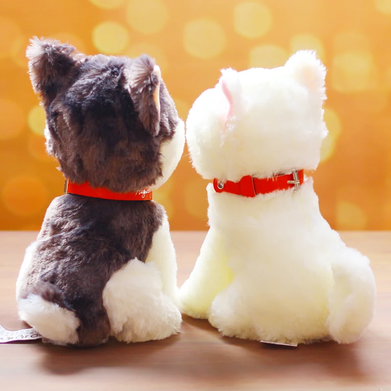 O1CN016udQtx26rWCP6Qh4v_!!1932457715