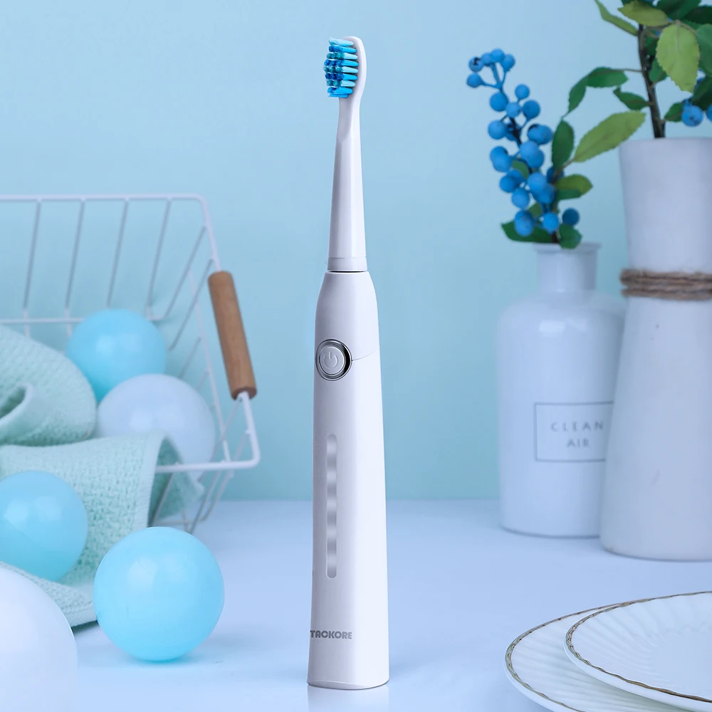 Best Sonic Electric Toothbrush With Replacement Heads USB Rechargeable Electronic Toothbrushes Oral Hygiene Electric Brush Tooth