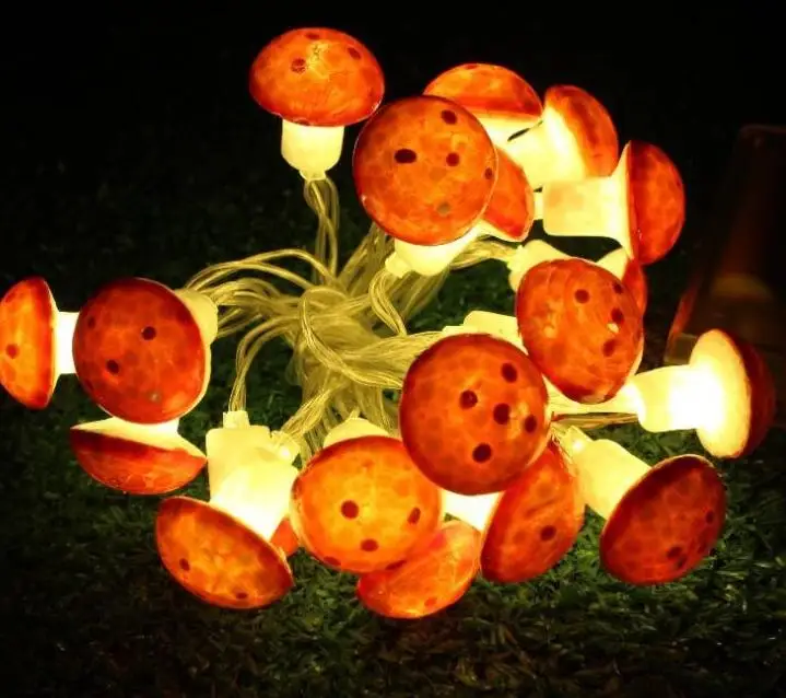 

2m 10Led Led lights string ball battery box string lights decoration lights