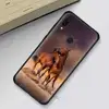 Mobile Phone Accessories