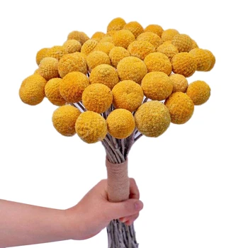 

Natural Dried Flower Yellow Ball Bouquet Bunch, Real Freshly Harvested Dried Plant Bunch, Decoration for Home Crafts