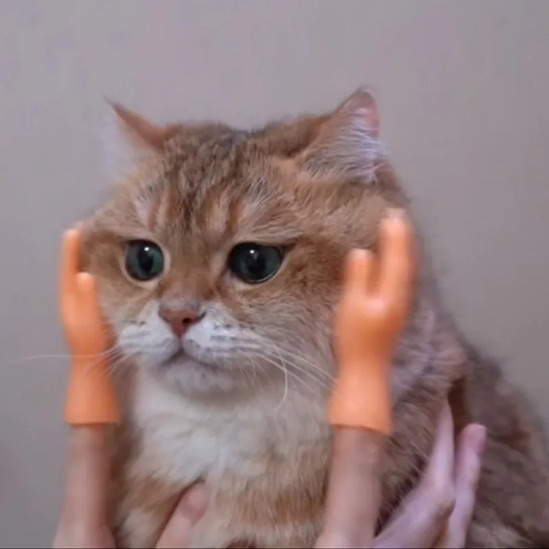 Новинка пять пальцев игрушка модные левая рука правая установить маленькая