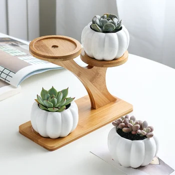 

1 Set Ceramic Owl Garden Pots Modern Pumpkin Flowerpot Nursery Succulent Plant Pot 3 Bonsai Planters with 3-Tier Bamboo Shelf