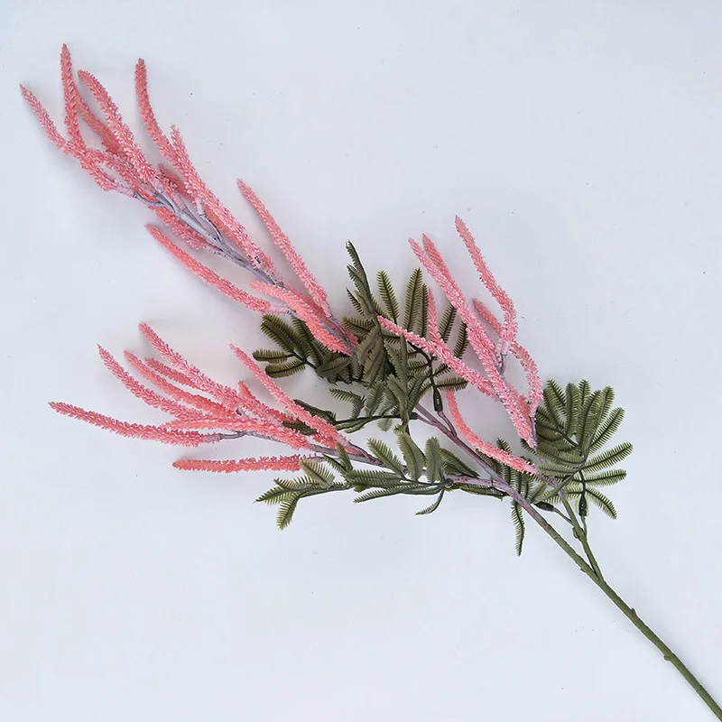 10898033793_1611482457