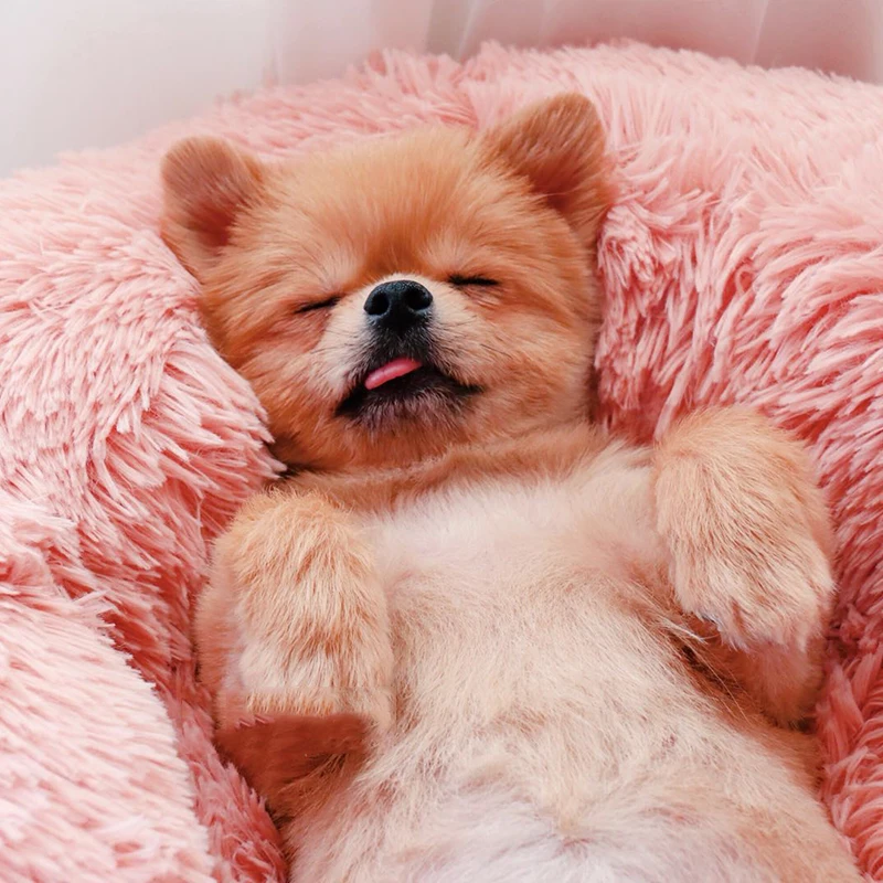 Pretty&Better Dog Long Plush Dounts Beds Calming Bed Hondenmand Puppy Cushion Pet Mat Winter Warm Sofa Basket for Dog house