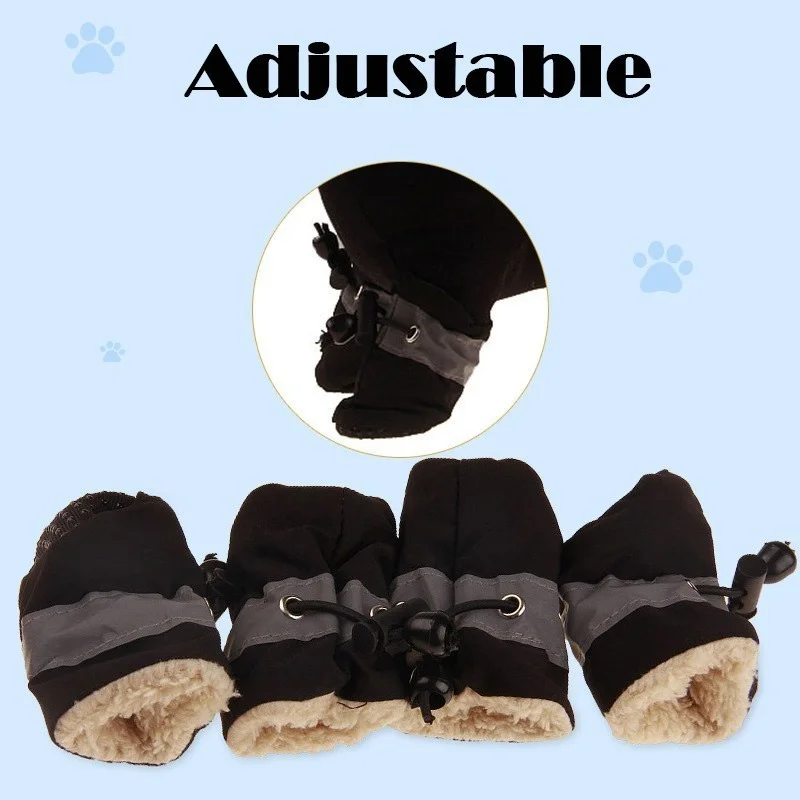 scarpe per cani.jpg_.webp