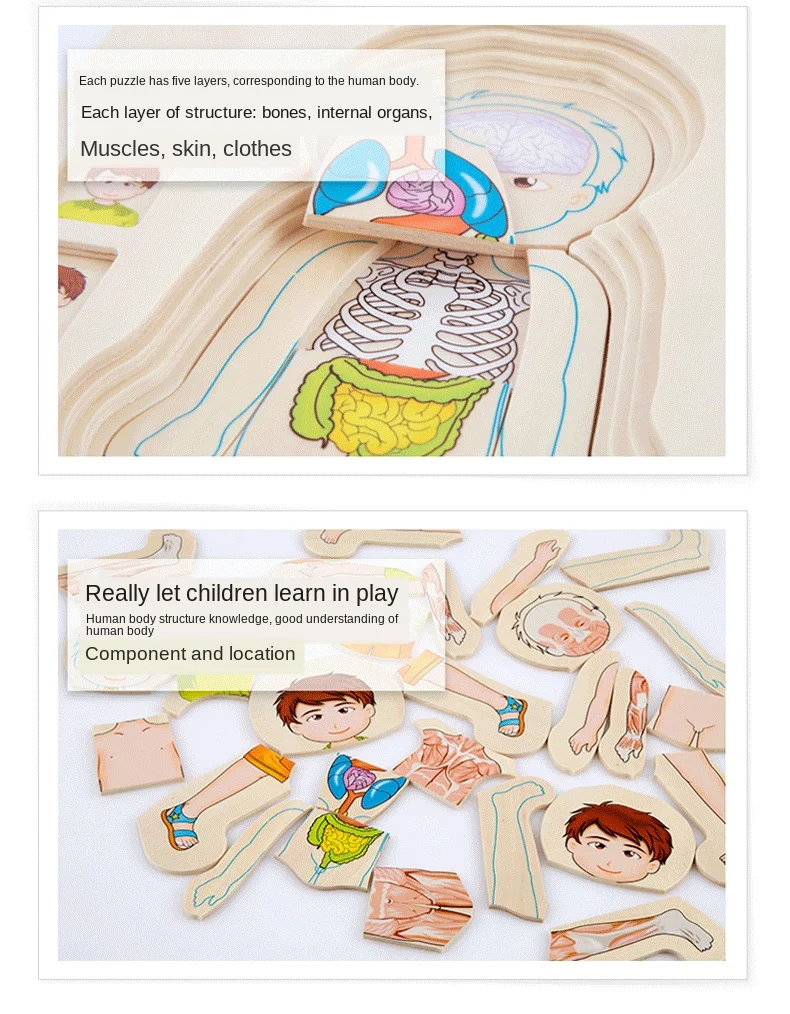 Onshine деревянные Многослойные игрушки-головоломки для мальчиков и девочек, структура тела для детей, Обучающие игрушки