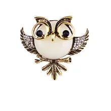 Европа и Америка Мода и индивидуальность аксессуары инкрустированные драгоценный камень сова брошь Большая Брошь для свитера pi jian kou