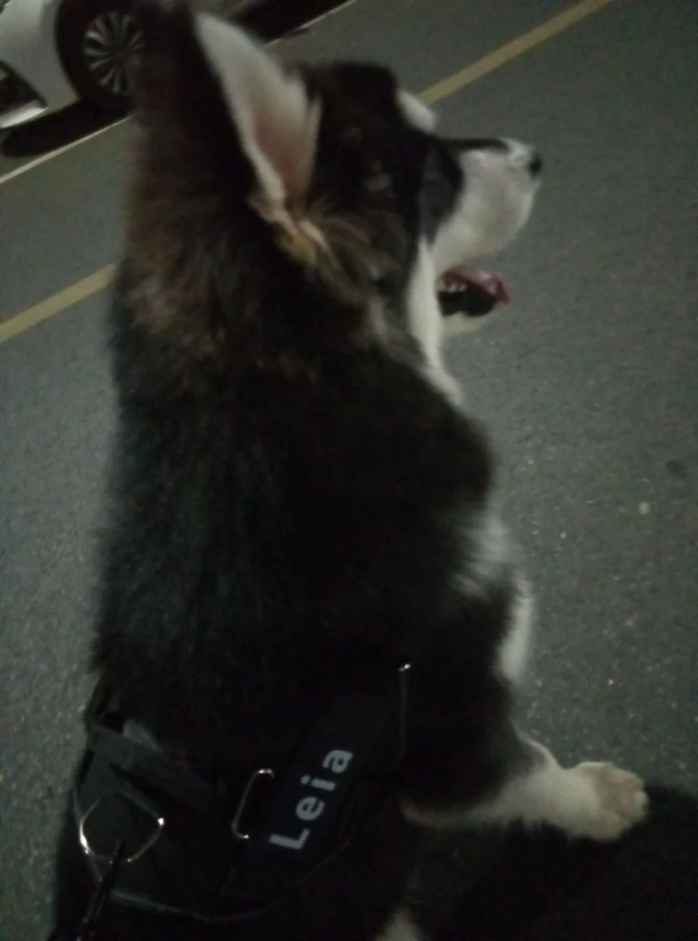 QQ图片20191108155107