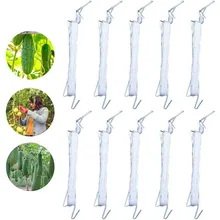 10pcs Plant Vegetable Hook Fruit Garden Tomato Hook Tomato Support Clips Support Prevent Tomato From Pinching Support Tools