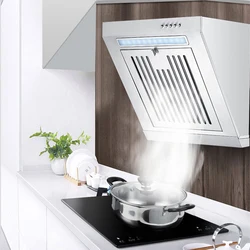 Mini Side Suction Range Hood Stainless Steel Panel Hanging Household Ventilator 400mm Kitchen Exhaust Cooker Hoods 220V