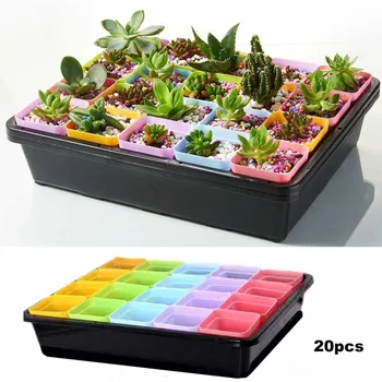 

20pcs Mini Flower Planter Flower Pots for Succulent Plants Square Plastic Nursery Pots Garden Desk Home Office Decoration