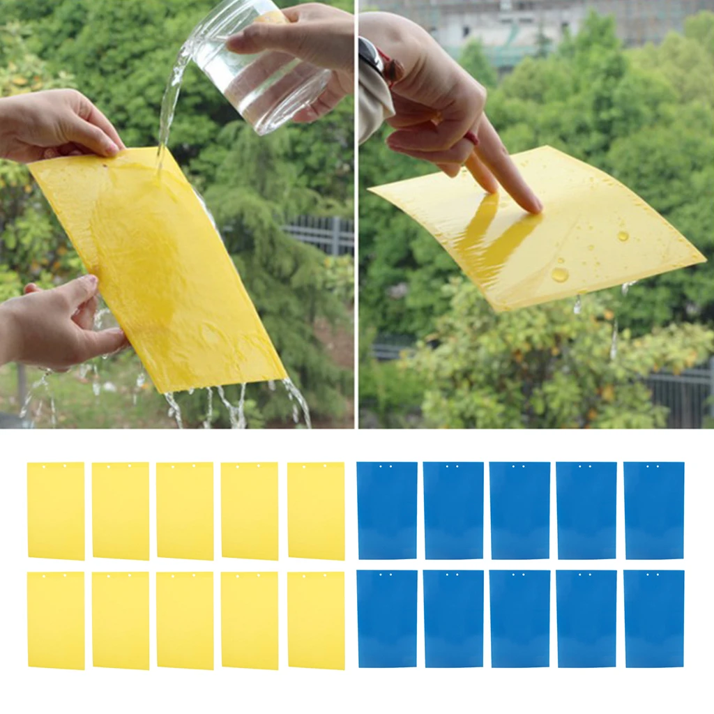 10PCS Sticky Trap Fruit Fly and Fungus Gnat Trap Killer Indoor and Outdoor, Protect Plants, Non-Toxic and Odorless