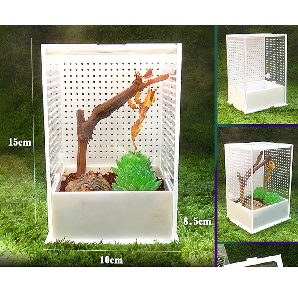

2x Reptile Feeding Box Transparent Cage Hatching Container For Frog 1