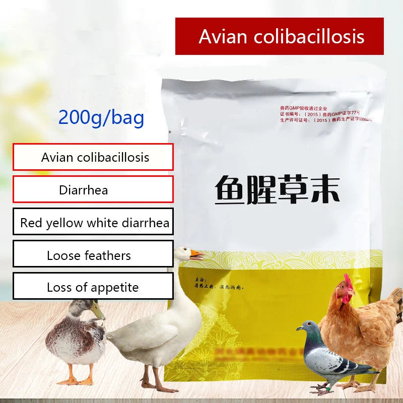 Порошок Houttuynia 200 г белое выделение куриной утки E. coli (кишечная палочка)