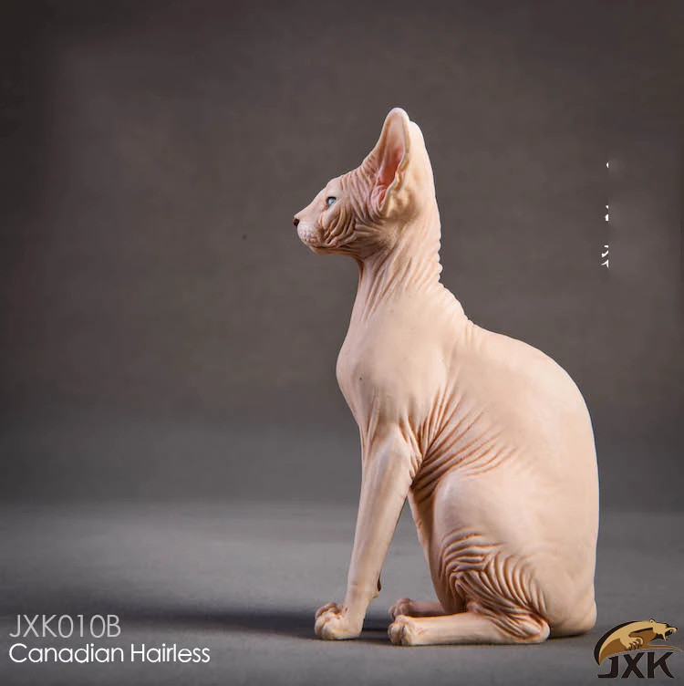 1/6 Смола животное модель Jxk010 1/6 канадская безволосая кошка Сфинкс 3 цвета животное F 12 "фигурка солдата