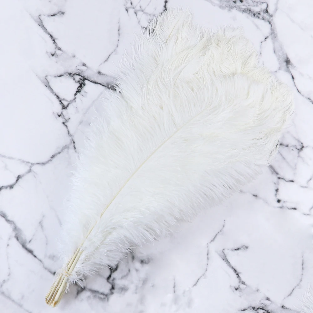 Wholasale Elegant White Ostrich Feathers for Crafts 15-75cm Wedding Party  Supplies Carnival Dancer Decoration plumas Plumages - Price history &  Review, AliExpress Seller - WyFeay Featers Lace Store