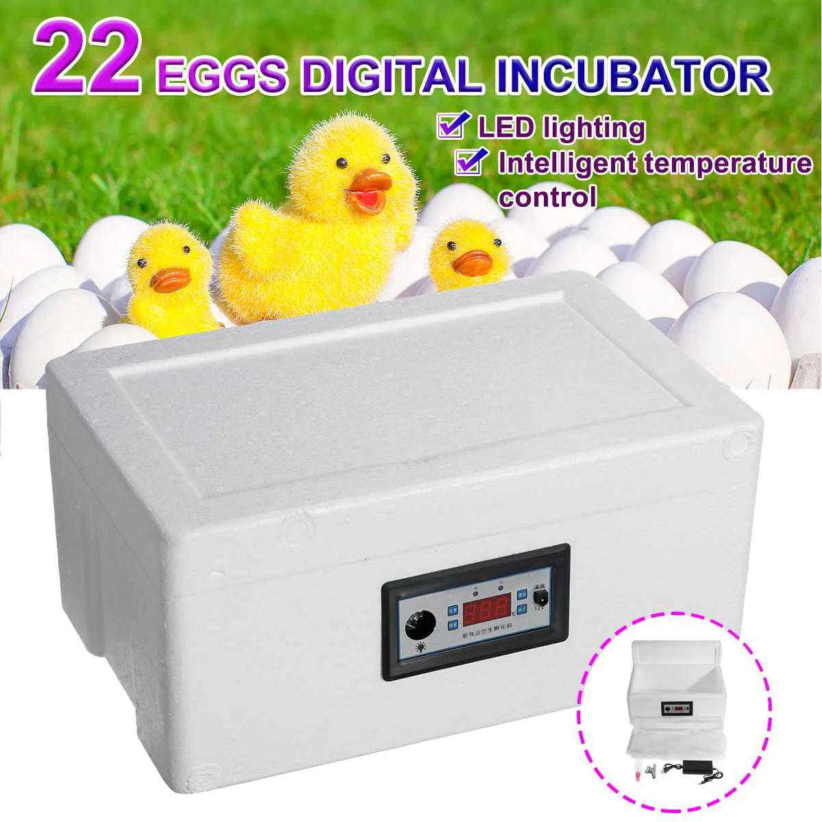 22 Eggs