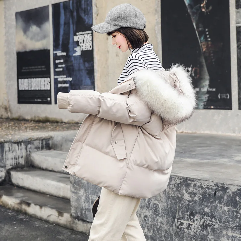 

Photo Shoot 19 Autumn South Korea Dongdaemun Autumn And Winter Down Jacket Women's Large Fur Collar Loose-Fit Students BF Cotton