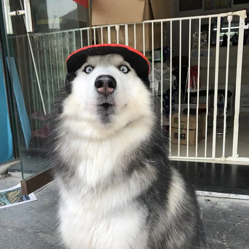 Hoomall летние для домашних животных собак шляпа милые аксессуары для домашних животных для маленьких средних собак модный крутой принт Бейсбол Кошка головной убор для собак снаряжение для путешествий