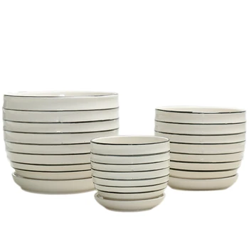 

Meaty Flowerpot Ceramics Basin Belt Tray Tuba Three Piece Suit 9.9 Wrong Plastic Meaty Botany Small Flowerpot