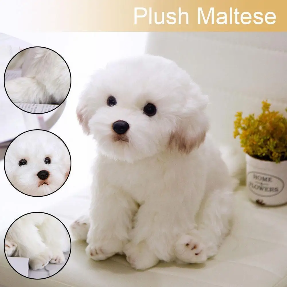 Maltese Bichon Stuffed Animals Maltese Dog Plush Toy Stuffed Dog