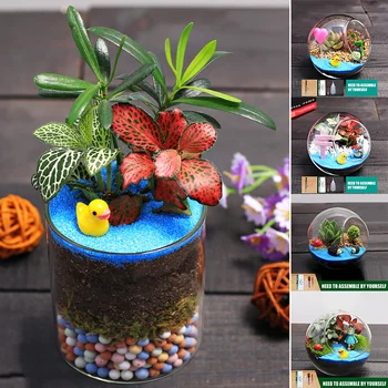 

Mini Small Clear Ball Shape Cute Glass Vase Flower Plant Micro Landscape Bottle for Decor Home 02